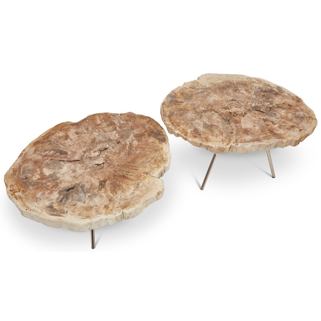 LASTRA PETRIFIED WOOD NESTING COFFEE TABLES: LIGHT