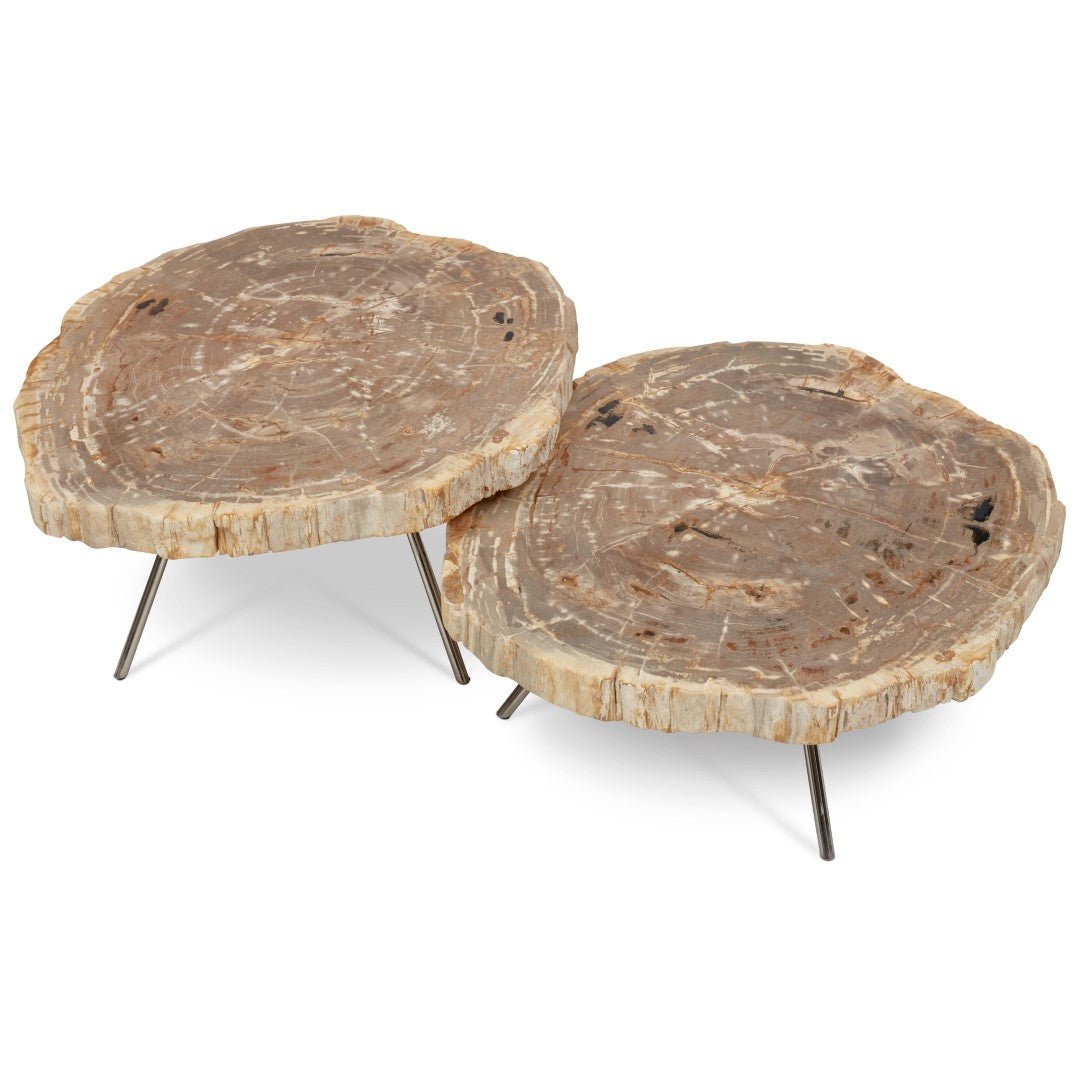 LASTRA PETRIFIED WOOD NESTING COFFEE TABLES: LIGHT