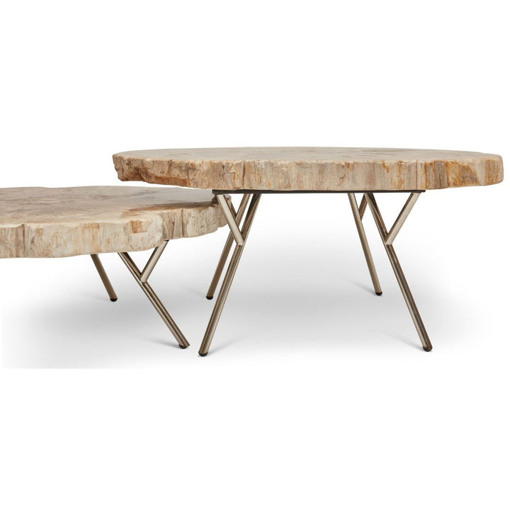 LASTRA PETRIFIED WOOD NESTING COFFEE TABLES: LIGHT