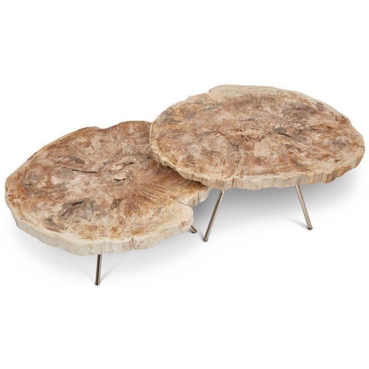 LASTRA PETRIFIED WOOD NESTING COFFEE TABLES: LIGHT