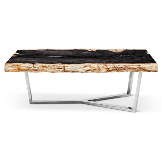 MASSO PETRIFIED WOOD SLAB COFFEE TABLE: DARK