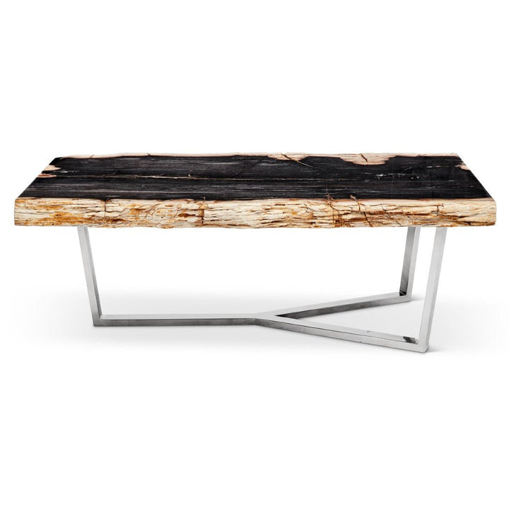 MASSO PETRIFIED WOOD SLAB COFFEE TABLE: DARK