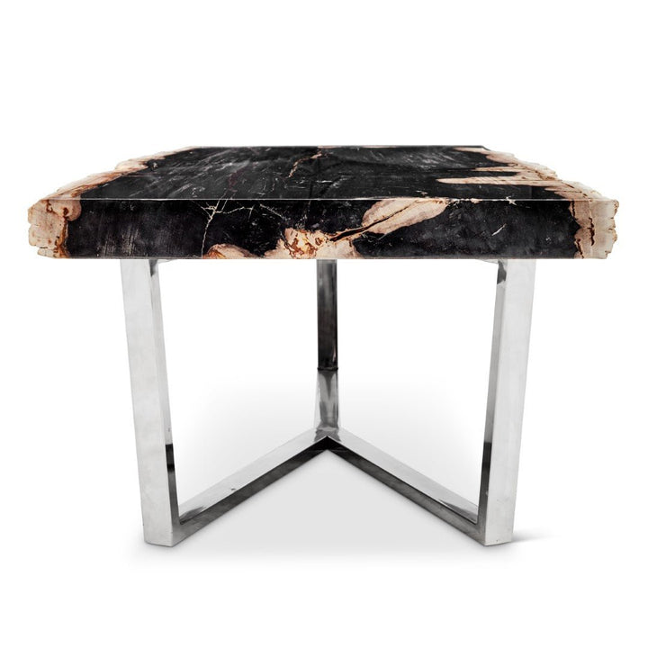 MASSO PETRIFIED WOOD SLAB COFFEE TABLE: DARK