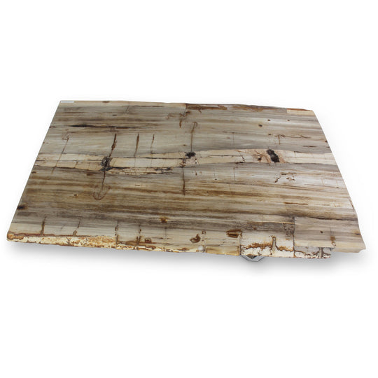 MASSO PETRIFIED WOOD SLAB COFFEE TABLE: LIGHT