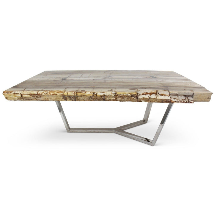 MASSO PETRIFIED WOOD SLAB COFFEE TABLE: LIGHT