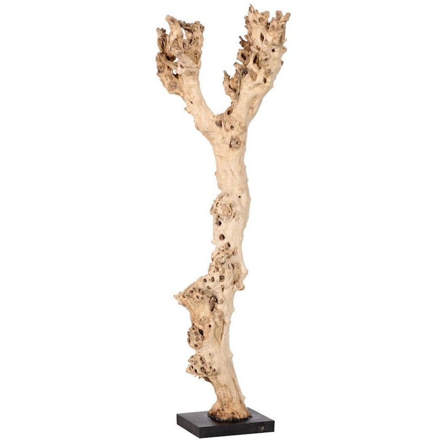 NATURAL ABSTRACT WOOD SCULPTURE ON BLACK BASE