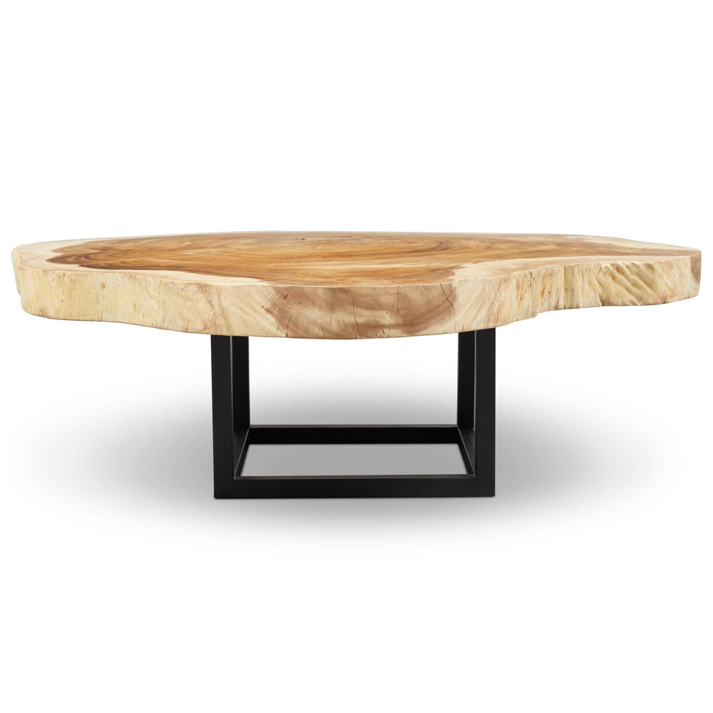 NATURALS SOLID CHAMCHA WOOD AKARA BLACK FRAME COFFEE TABLE