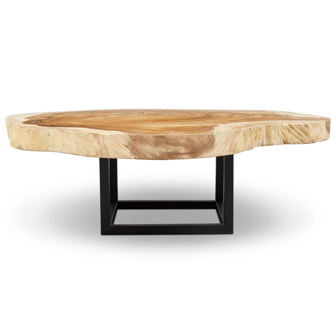 NATURALS SOLID CHAMCHA WOOD AKARA BLACK FRAME COFFEE TABLE