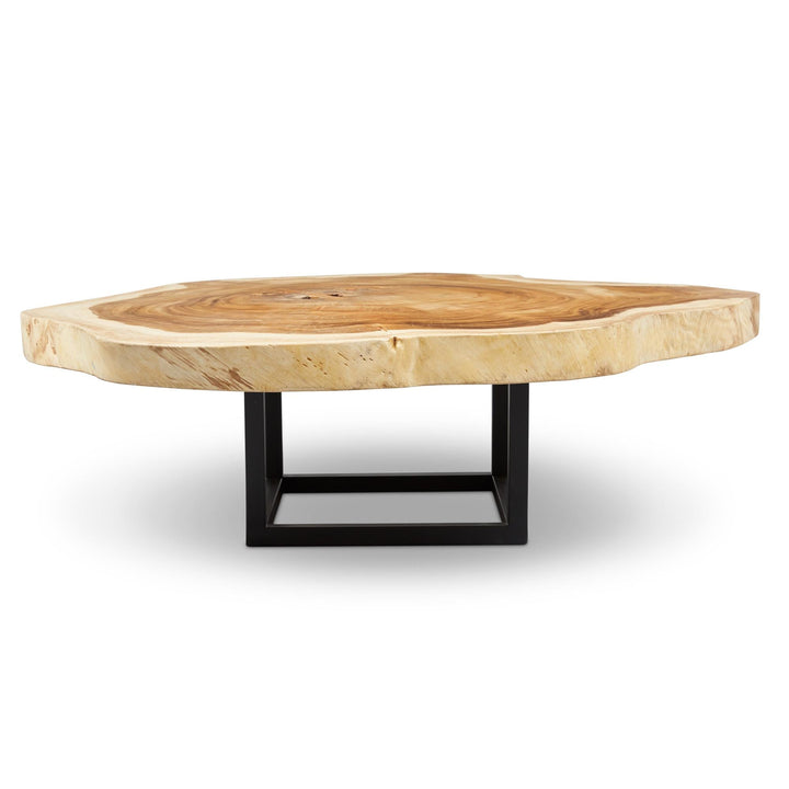 NATURALS SOLID CHAMCHA WOOD AKARA BLACK FRAME COFFEE TABLE