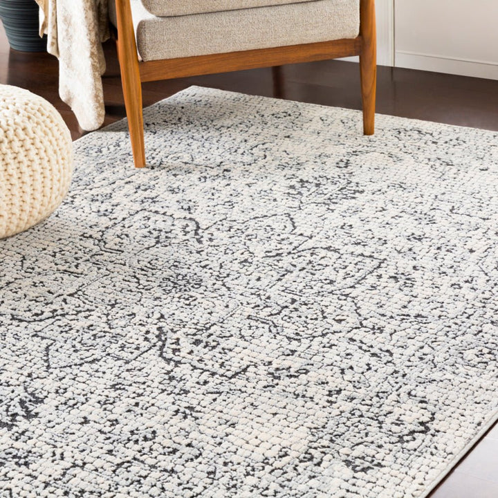 NICIA RUG: SILVER, BLACK