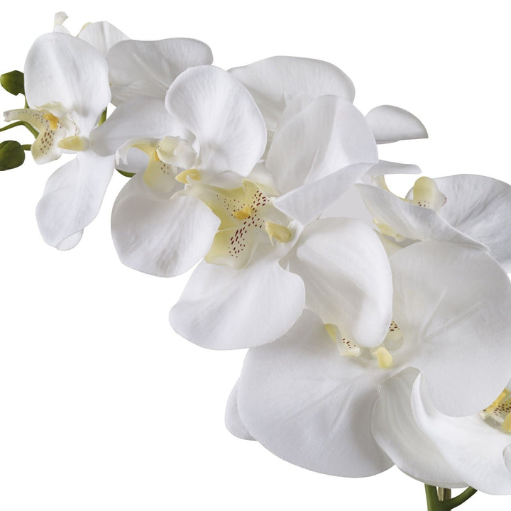 ORCHID BOTANICAL IN WHITE CERAMIC POT