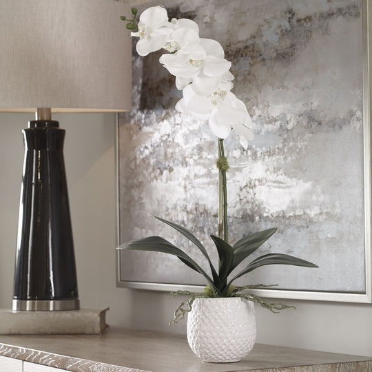 ORCHID BOTANICAL IN WHITE CERAMIC POT