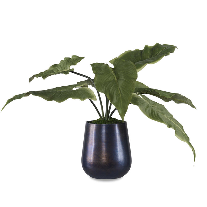 OXIDIZED METAL PLANTER CALLA ACCENT