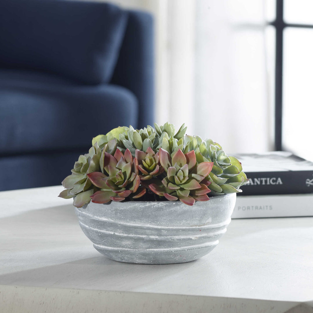 PEORIA SUCCULENT ACCENT