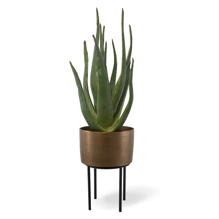 POTTED ALOE PLANT ON STAND