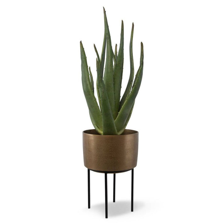 POTTED ALOE PLANT ON STAND