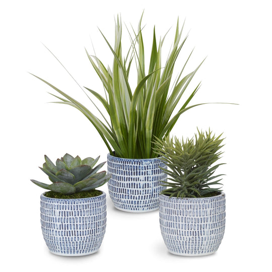 PUEBLA GREENERY IN BLUE & WHITE CERAMIC PLANTERS