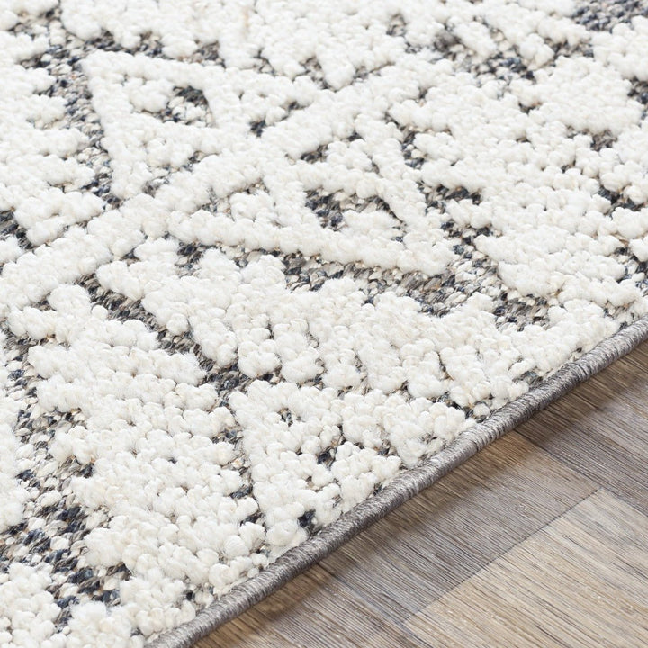 RAYNOR INDOOR - OUTDOOR RUG: GREY + WHITE