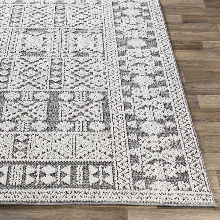 RAYSEL INDOOR - OUTDOOR RUG: GREY + WHITE