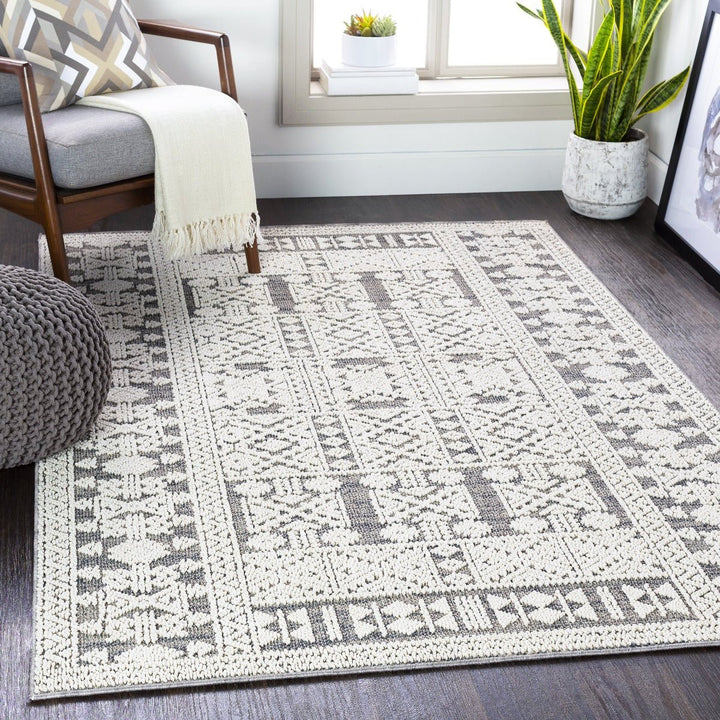 RAYSEL INDOOR - OUTDOOR RUG: GREY + WHITE