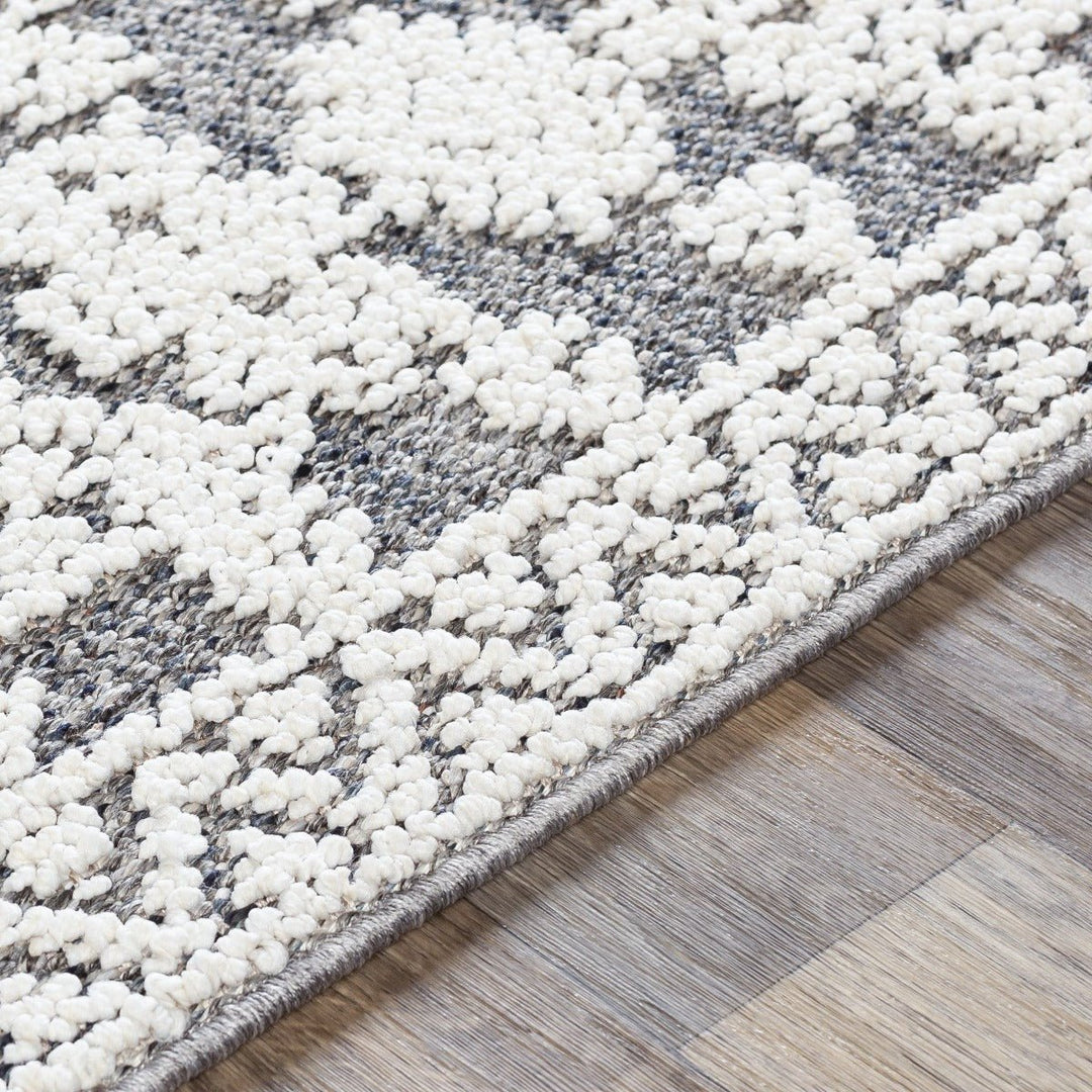 RAYSEL INDOOR - OUTDOOR RUG: GREY + WHITE