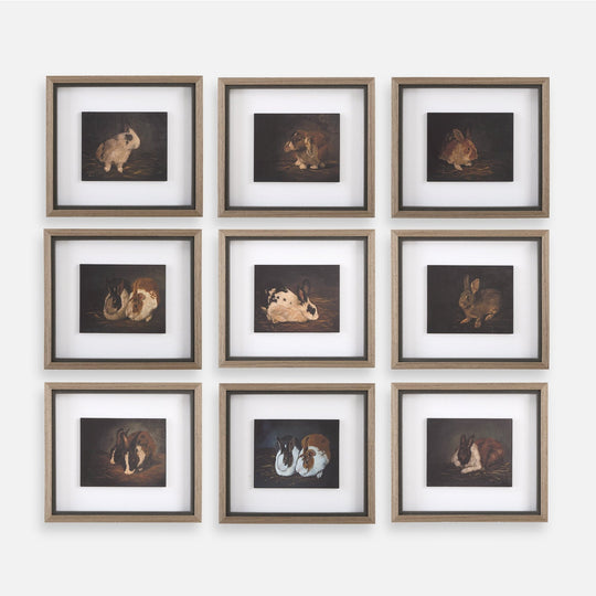 "RESTING BUNNY" FRAMED PRINTS | SET OF 9