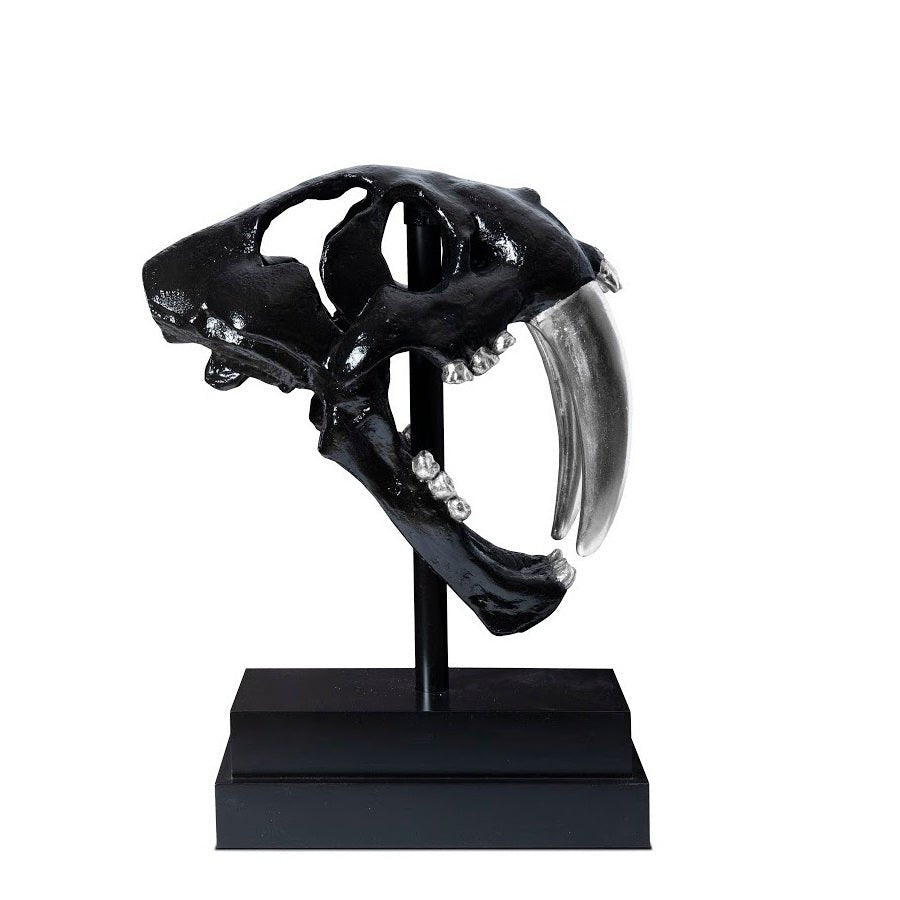 SABER TOOTH SKULL SCULPTURE: BLACK, SILVER