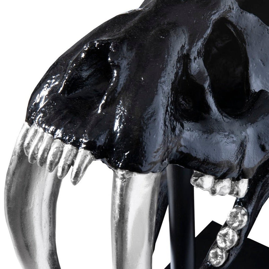 SABER TOOTH SKULL SCULPTURE: BLACK, SILVER