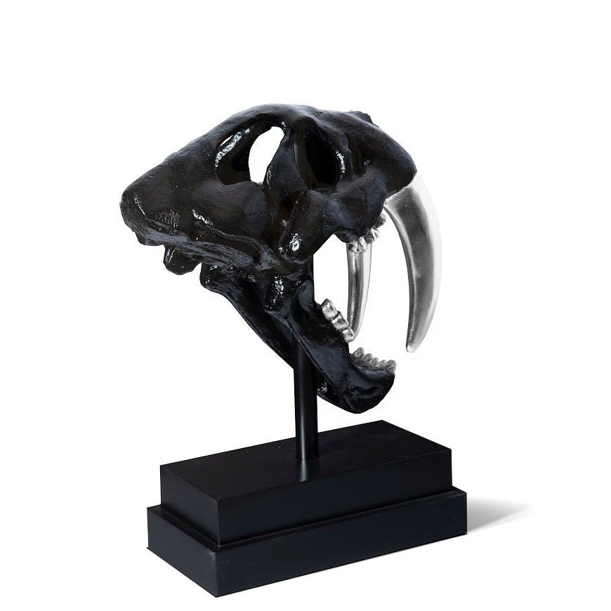 SABER TOOTH SKULL SCULPTURE: BLACK, SILVER