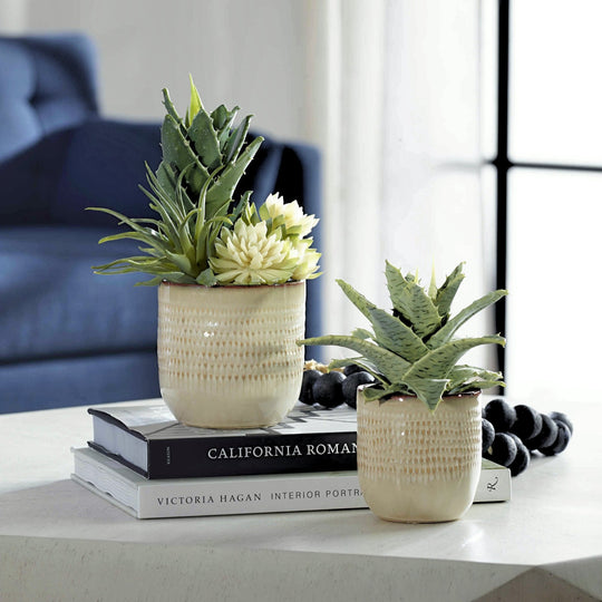 SEASIDE SUCCULENTS | SET OF 2