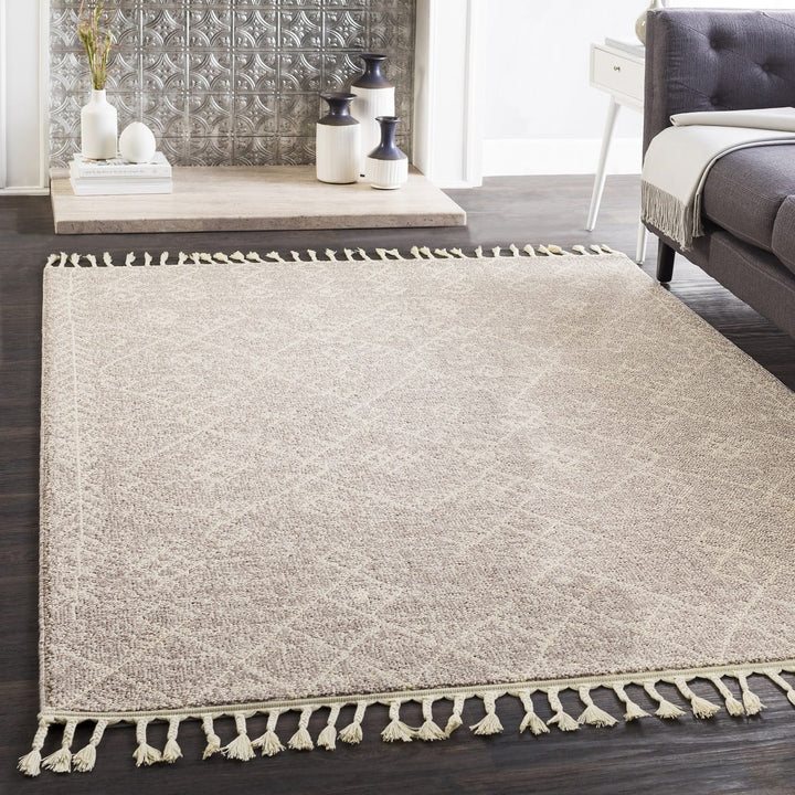 SPOKANE RUG: TAUPE