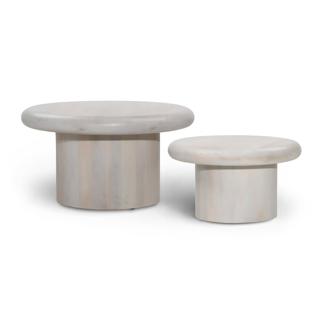 SPROUT WHITEWASH NESTING COFFEE TABLES