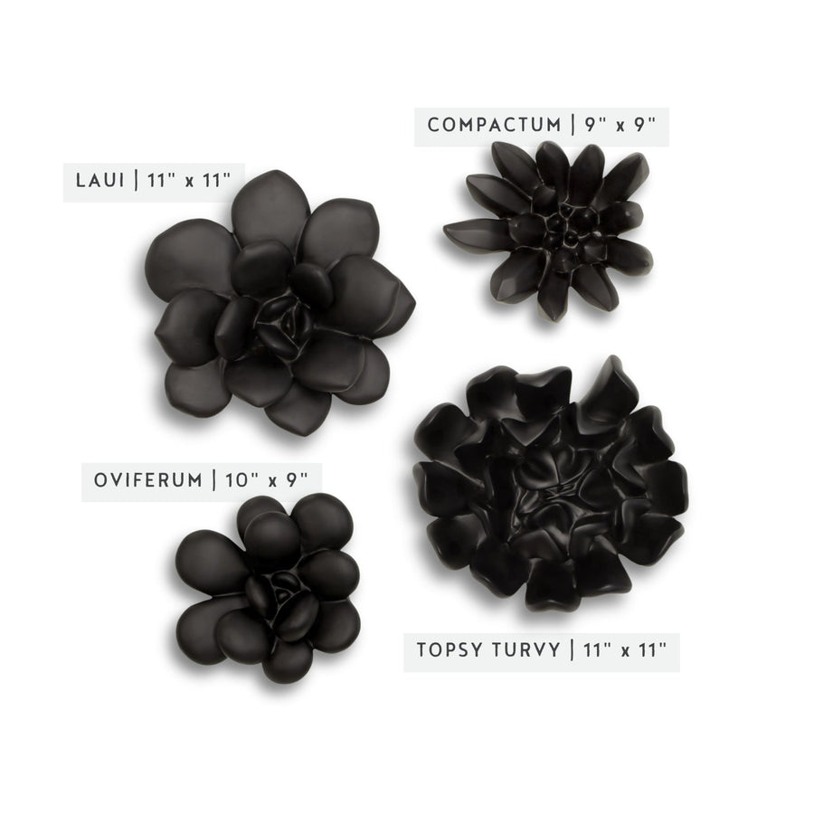 black succulent wall planter SUCCULENT WALL DECOR: MATTE BLACK – ShopDesignTap