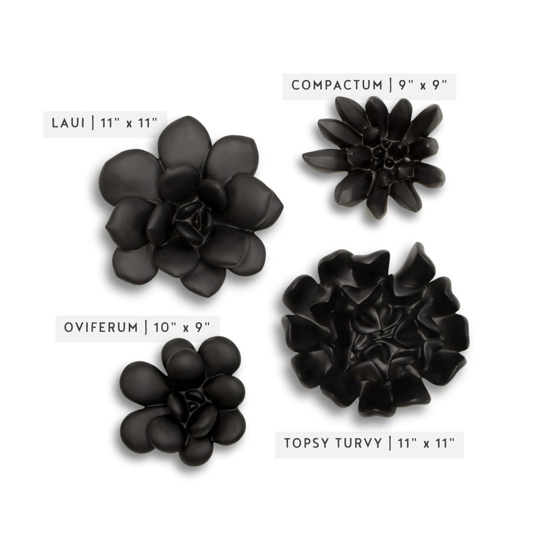 SUCCULENT WALL DECOR: MATTE BLACK