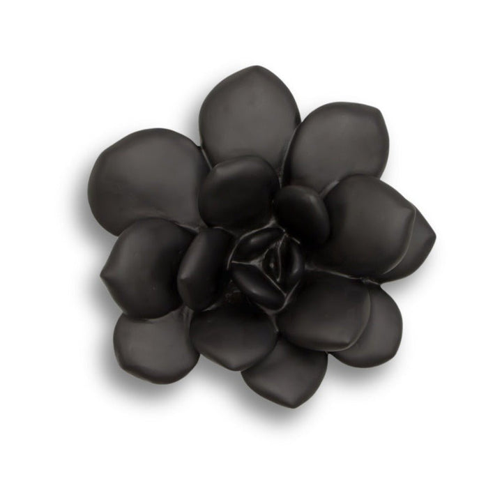 SUCCULENT WALL DECOR: MATTE BLACK