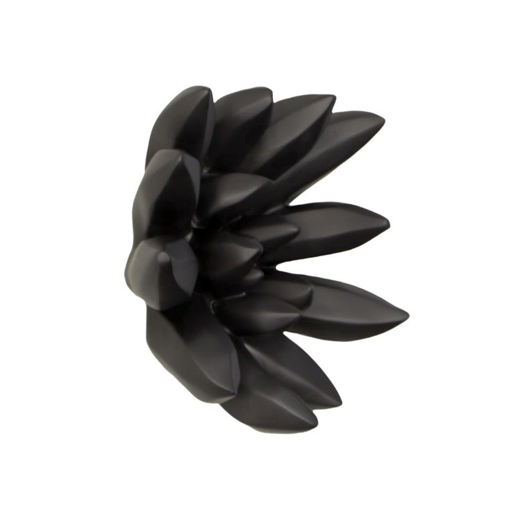 SUCCULENT WALL DECOR: MATTE BLACK