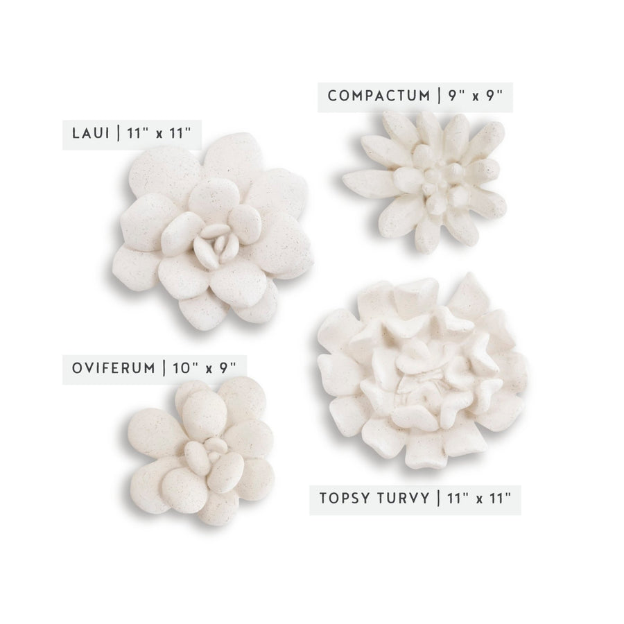 white succulent wall planter Phillips Collection Laui Succulent Wall Art, White Stone