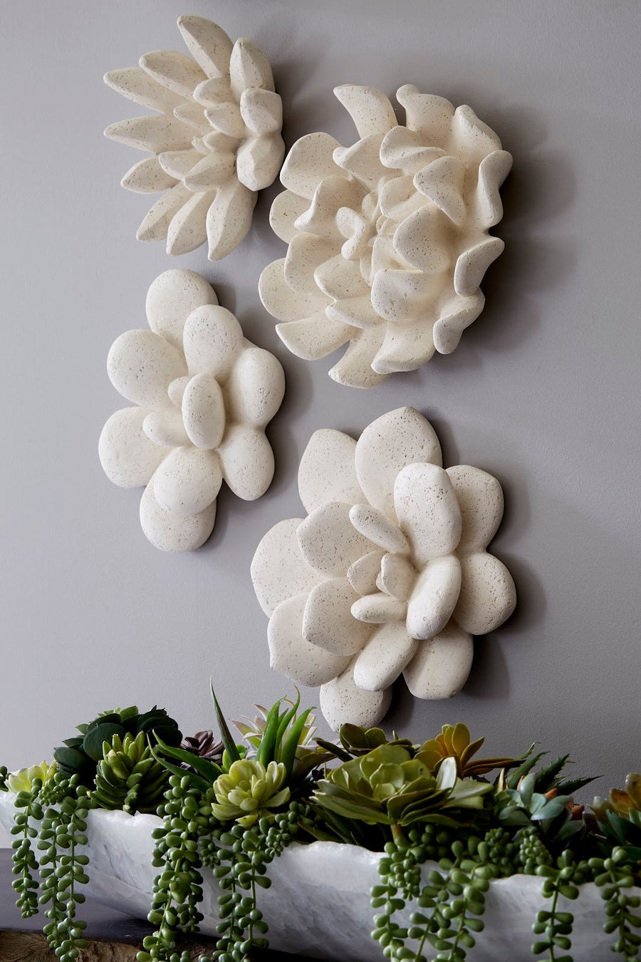 real succulent wall art Phillips Collection Laui Succulent Wall Art, White Stone