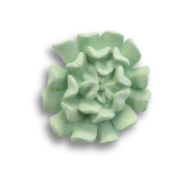 SUCCULENT WALL DECOR