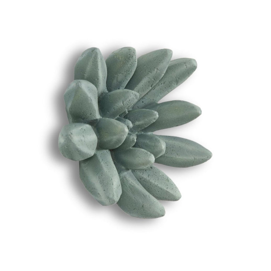 SUCCULENT WALL DECOR