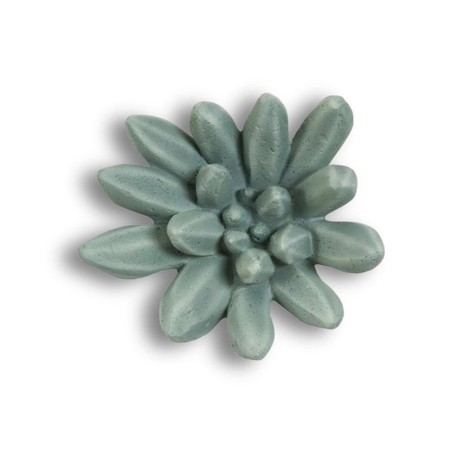 SUCCULENT WALL DECOR