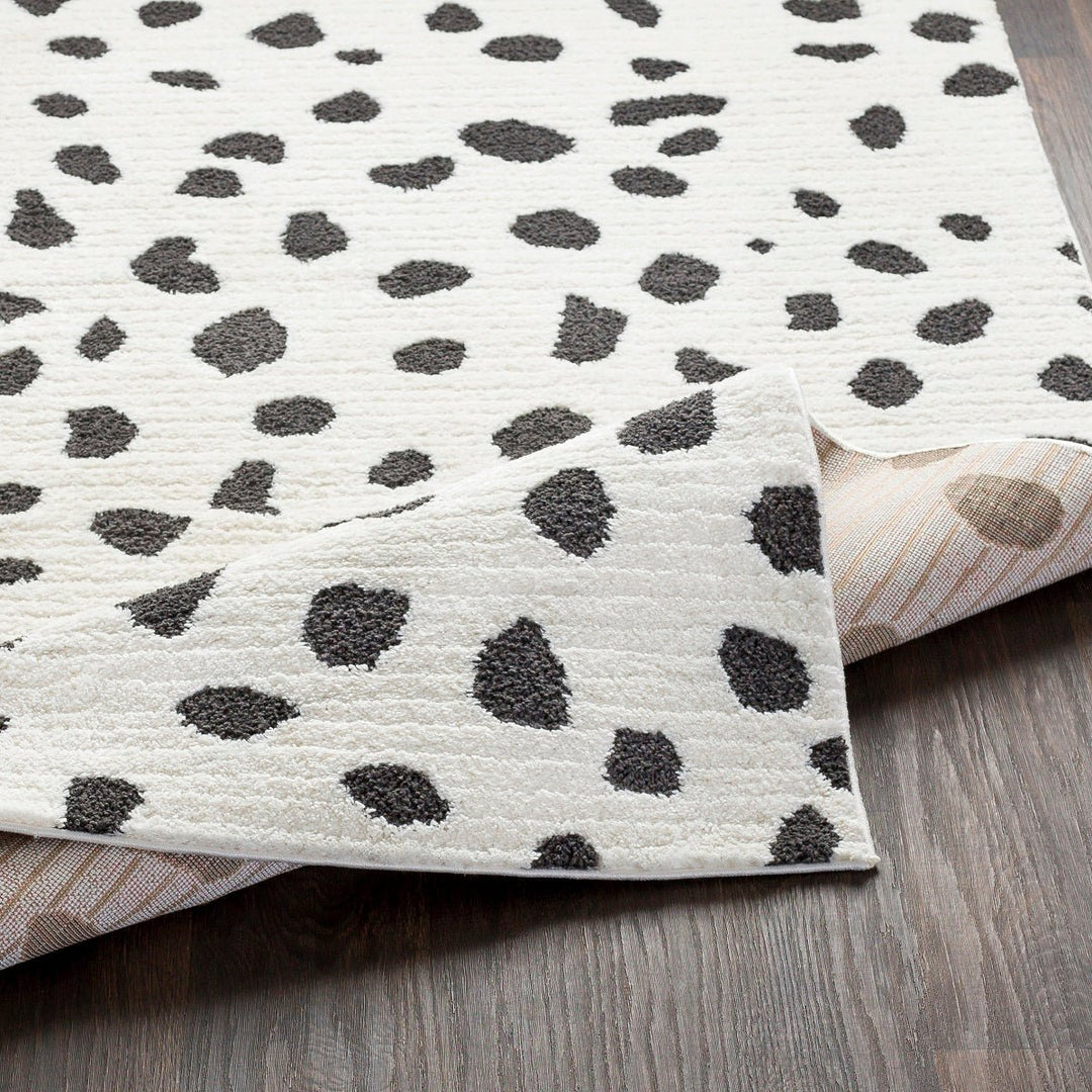 TETON SPOTS RUG