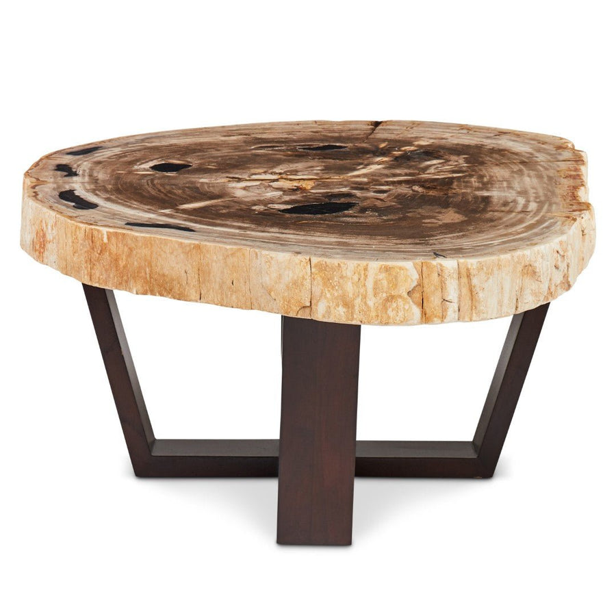 VALERIE PETRIFIED WOOD SLICE COFFEE TABLE: LIGHT