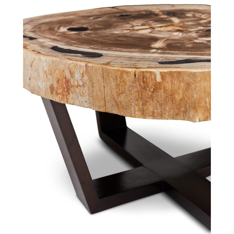 VALERIE PETRIFIED WOOD SLICE COFFEE TABLE: LIGHT