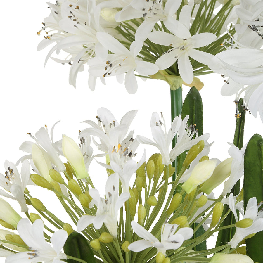 WHITE AGAPANTHUS CENTERPIECE