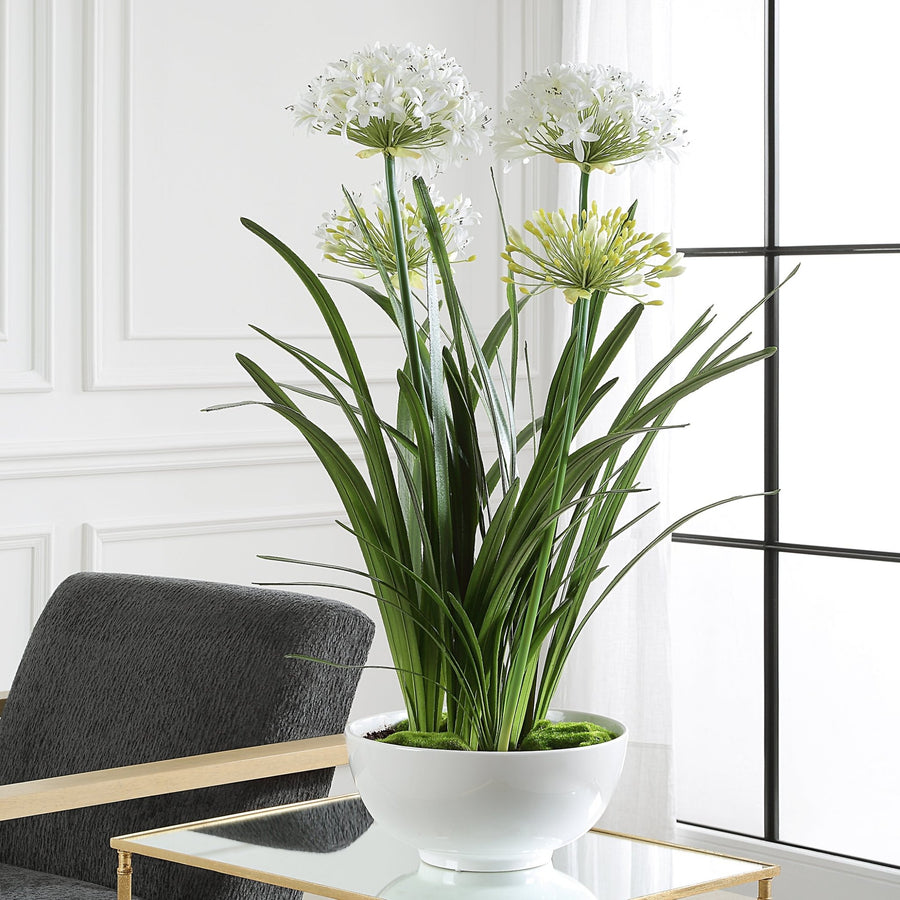 WHITE AGAPANTHUS CENTERPIECE