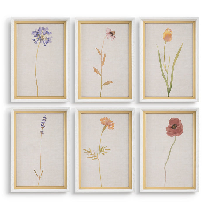 "WILD FLOURISH" GLASS FRAMED PRINTS | SETOF 6