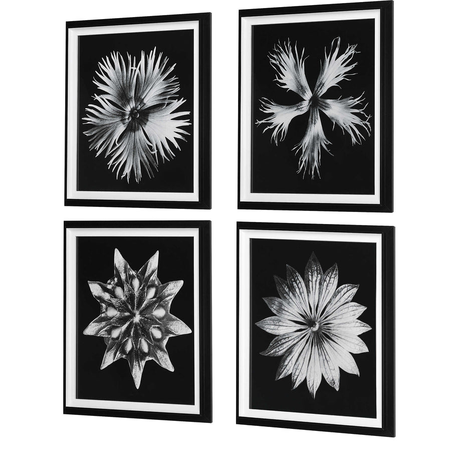 "CONTEMPORARY FLORET" GLASS FRAMED PRINTS | SET OF 4