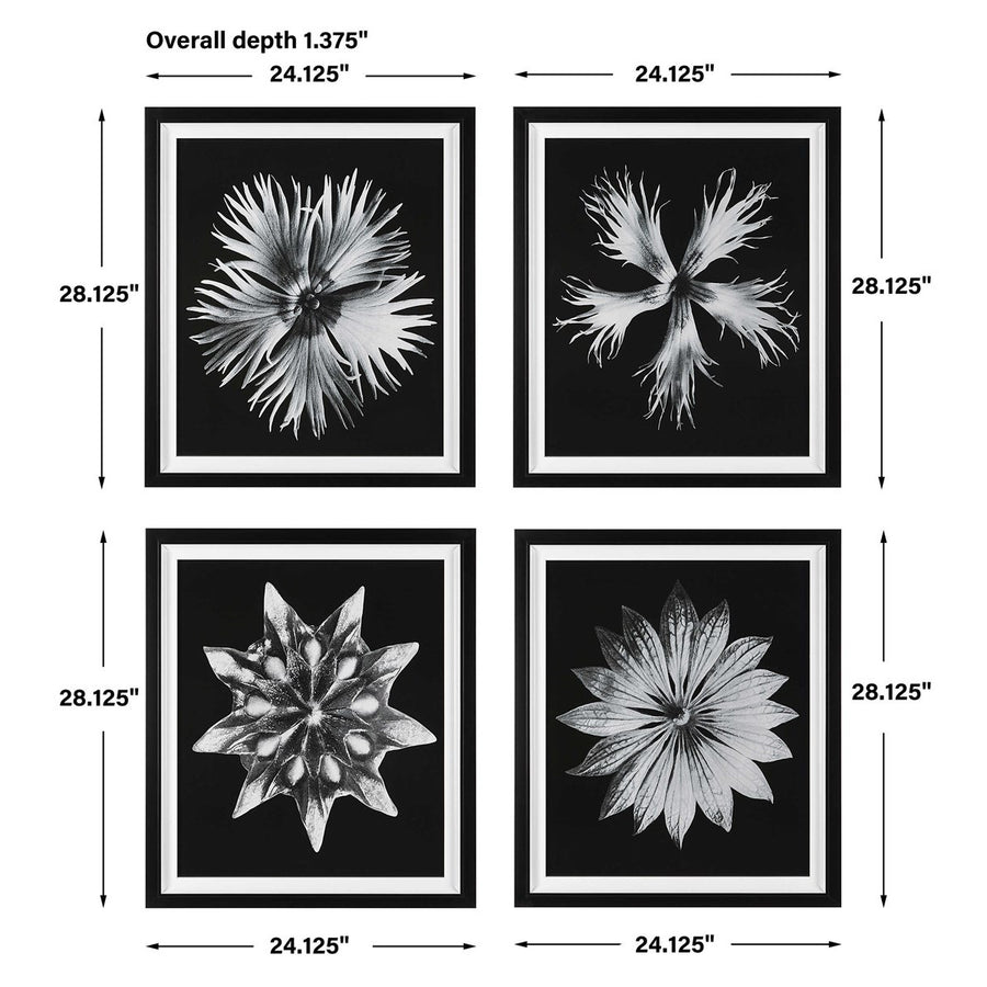 "CONTEMPORARY FLORET" GLASS FRAMED PRINTS | SET OF 4