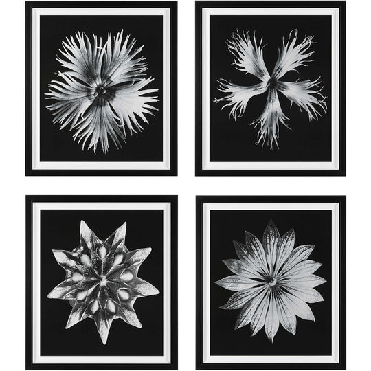 "CONTEMPORARY FLORET" GLASS FRAMED PRINTS | SET OF 4